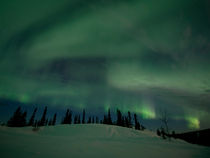 night lights (aurora borealis) von Priska  Wettstein