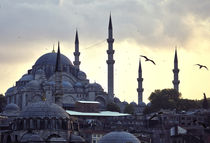 istanbul by emanuele molinari