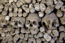 Skull and Bones. von morten larsen