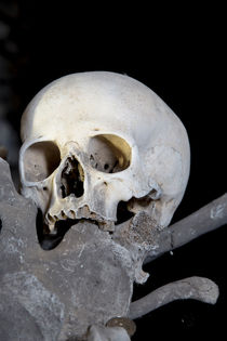 Skull and Bones by morten larsen
