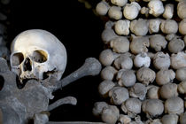 Skulls and Bones by morten larsen