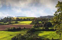 Englands Pastures Green by David Tinsley
