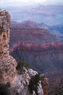 Grand Canyon at dusk von morningside