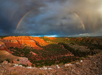 Double Rainbow by Leland Howard