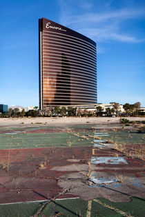 Wastland Las Vegas by morten larsen