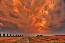Wolken über den Kornfeldern bei LB by fabinator