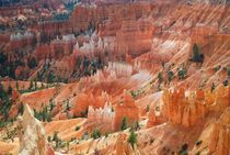 Bryce Canyon NP - Utah von usaexplorer