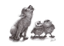 howling wolf meets howling owls von Stefan Kahlhammer