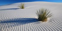 White Dunes by usaexplorer