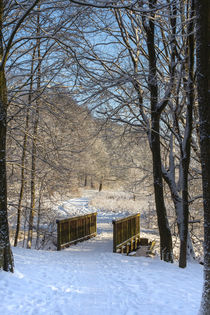 Bridge in snowy Forest by kunertus