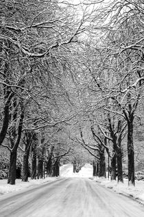 Snowy Road by kunertus