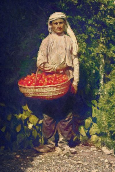 5-dot-tomato-seller