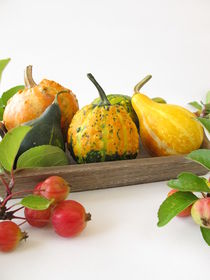 Herbstliche Dekoration mit Zieräpfeln und Zierkürbissen by Heike Rau