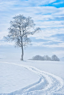 Winter Einsamkeit by ullrichg