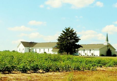 Church-in-the-cotton-fields