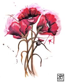 Liquid Red Poppies by Sandra Gale