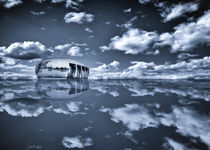 Noah's Ark by Stefan Kierek