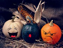 Funny Pumpkins von Stefanie Feldhaus