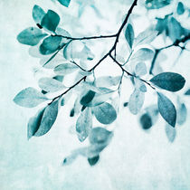 leaves in dusty blue by Priska  Wettstein