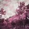 Pinkforest