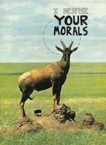 I Despise Your Morals by Neil Campau