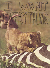 I Want Everything by Neil Campau