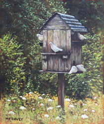 White Doves using a Dovecote  by Martin  Davey