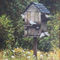 Painting-doves-on-bird-house