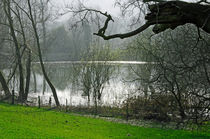 Pond near Home Farm, Ilam by Rod Johnson