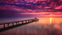 Sunset Lake Neusiedl by Zoltan Duray