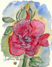 Rote Rose I by Matthias Talmeier