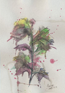 Faded flower by Aniko Hencz