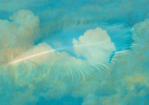 Feather Cloud  by Anat  Umansky