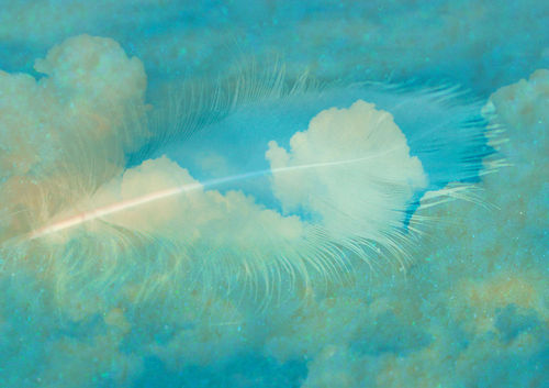 Feather-cloud