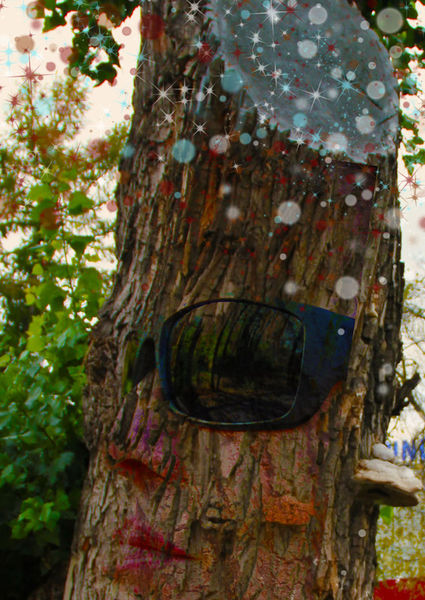 Point-of-view-of-a-tree-trunk