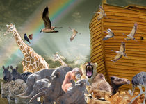 Noah's ark by Anat  Umansky