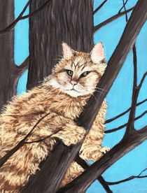  Cat on a Tree by Anastasiya Malakhova