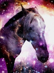  Horse in the Small Magellanic Cloud von Anastasiya Malakhova