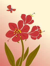 Amaryllis Flowers von Anastasiya Malakhova