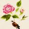 Bird-on-a-flower-anastasiya-malakhova