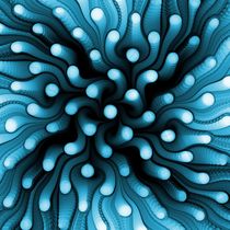 Blue Sea Anemone by Anastasiya Malakhova