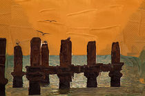 orange evening by the shore  by Anat  Umansky