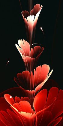 Bright Red by Anastasiya Malakhova