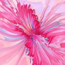 Carnation Pink von Anastasiya Malakhova