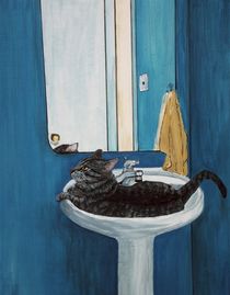 Cat in a Sink von Anastasiya Malakhova