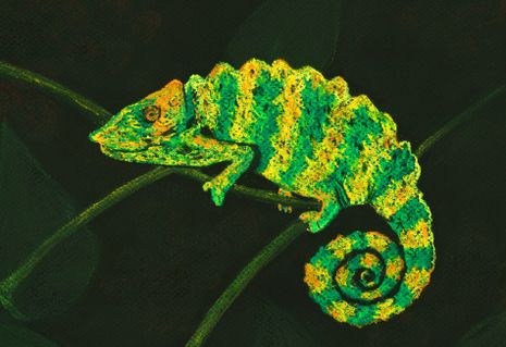 Chameleon-anastasiya-malakhova