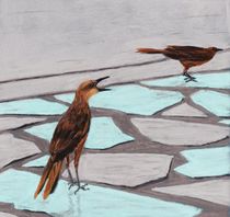 Death Valley Birds by Anastasiya Malakhova