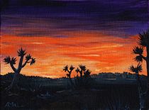 Desert Night by Anastasiya Malakhova