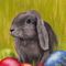 Easter-bunny-anastasiya-malakhova