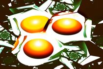 Eggs for Breakfast von Anastasiya Malakhova
